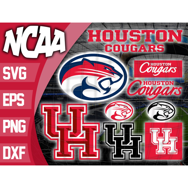 Houston Cougars.jpg