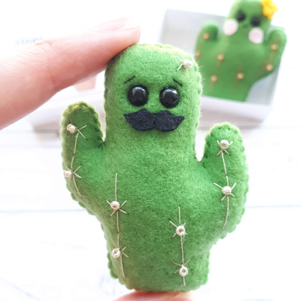 Fake-cactus-with-a-mustache