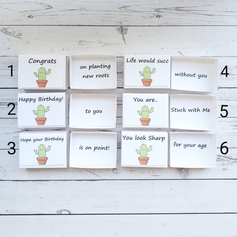 Fake-cactus-funny-cards