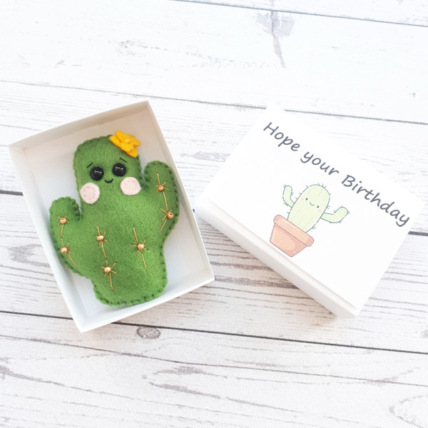 Fake-cactus-pocket-hug-birthday-gift