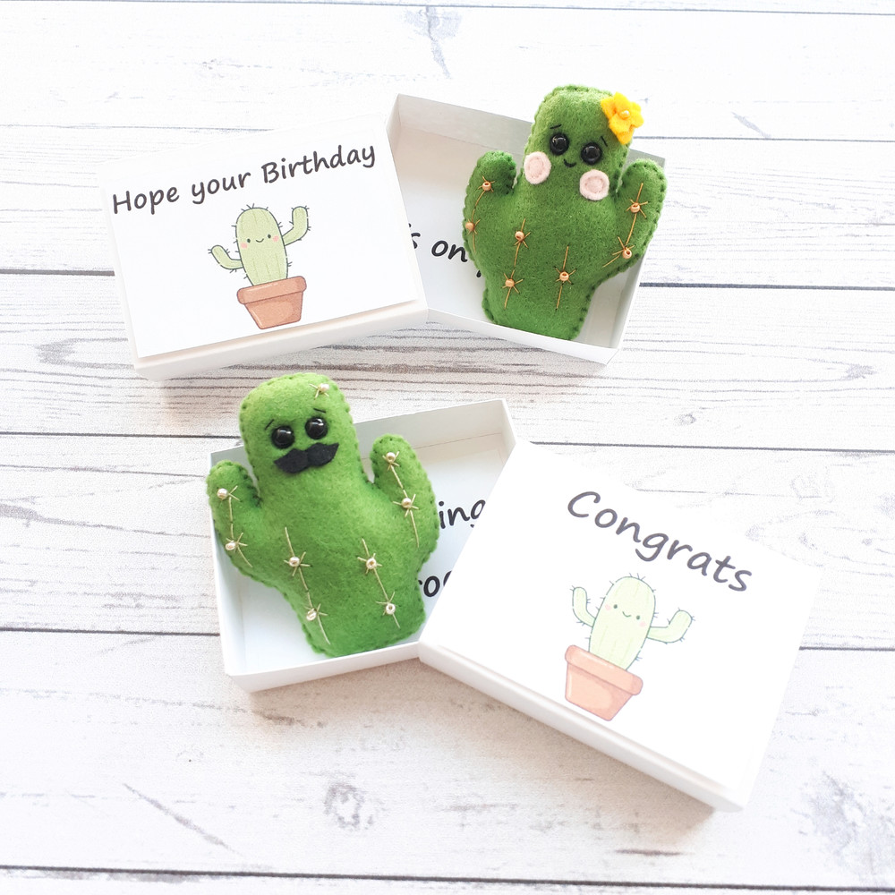 Fake-cactus-hug-in-a-box