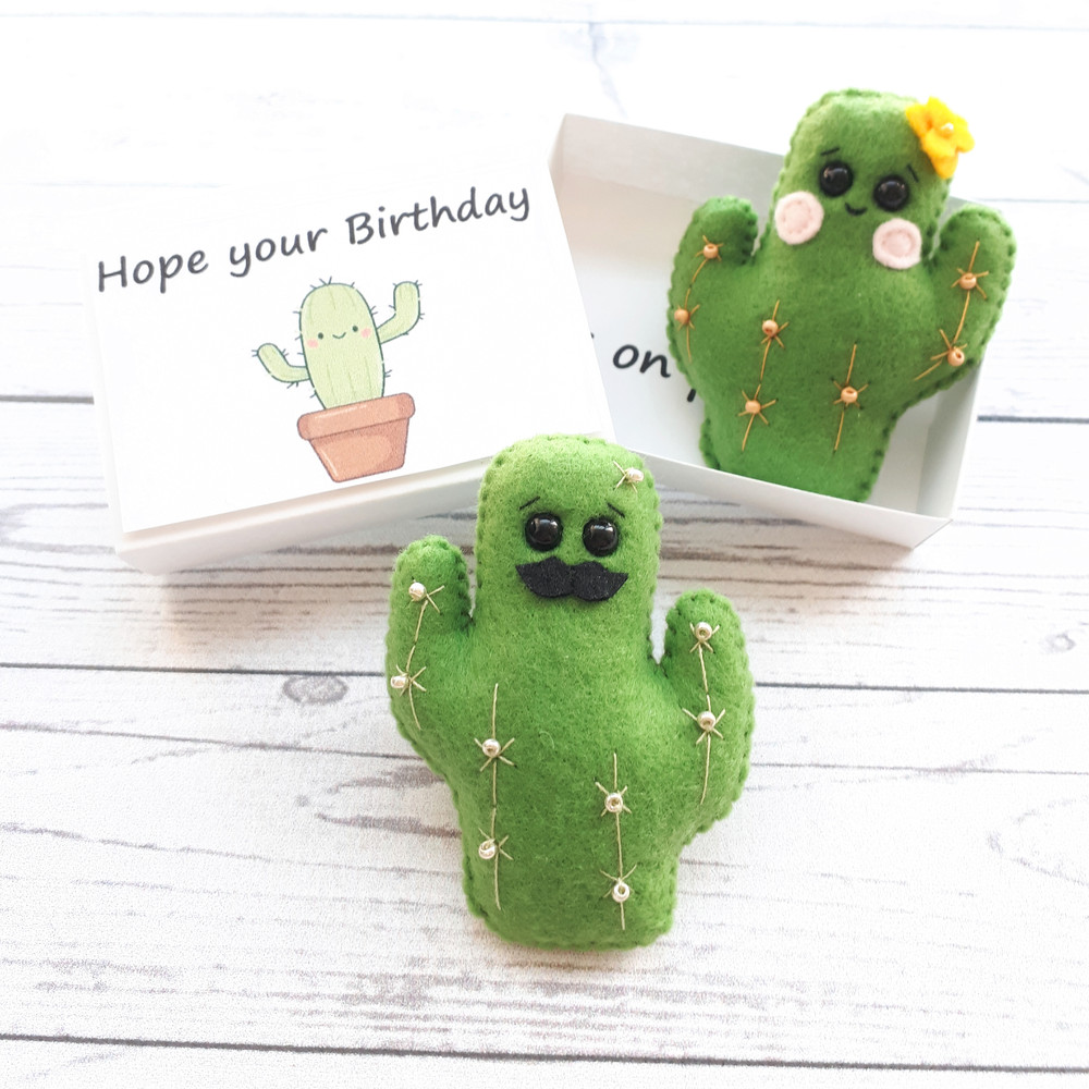 Small-Fake-cactus-hug-in-a-box