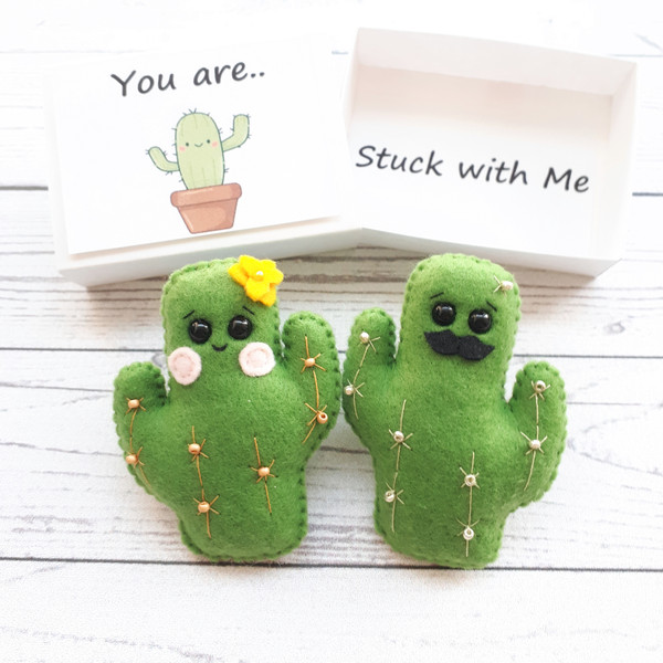 Fake-cactus-you-are-stuck-with-me