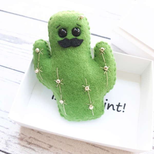 Fake-cactus-hug-with-a-mustache