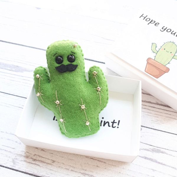 Small-fake-cactus-with-a-mustache