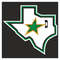 Dallas Stars8.jpg