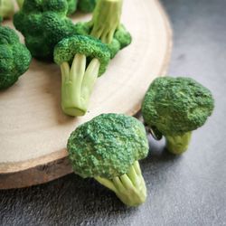 Vegan Broccoli pin and earrings - vegan brooch, funny jewelry for plant lover