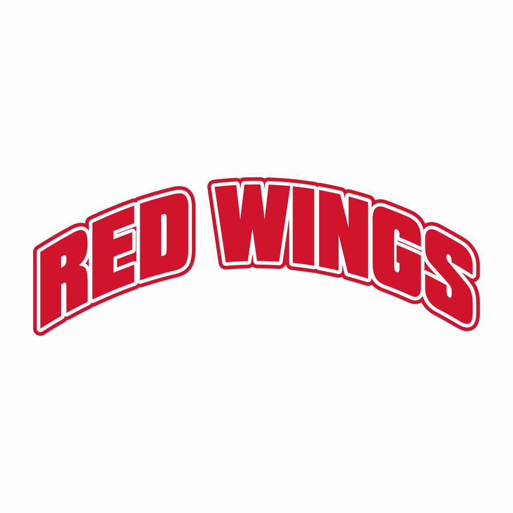 Detroit Red Wings1.jpg