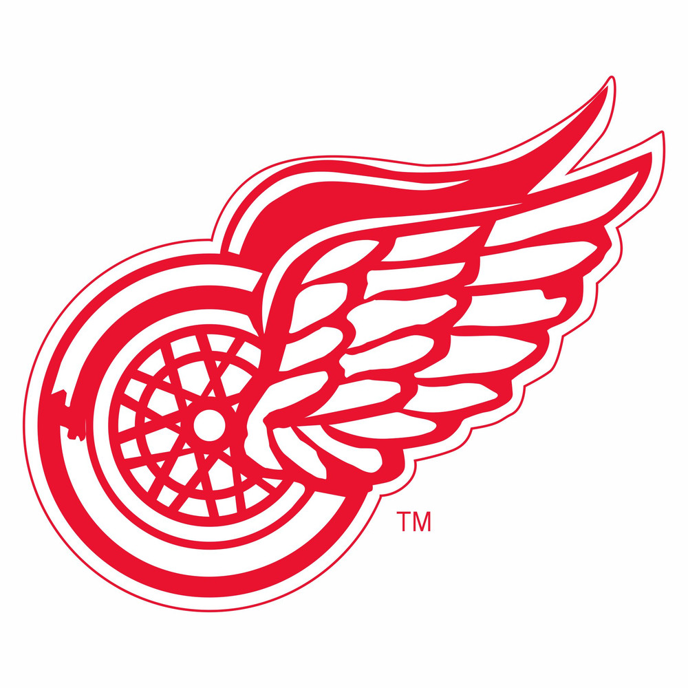 Detroit Red Wings8.jpg
