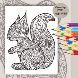 Coloring Pages, Coloring Page Squirrel, Coloring Pages For Adults, Coloring Pages For Kids, Coloring Sheets, Coloring Pi