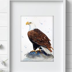 Eagle original birds watercolor, bird painting bird watercolor art by Anne Gorywine