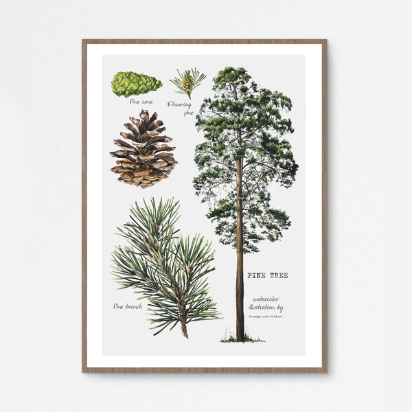 poster pine tree.jpg