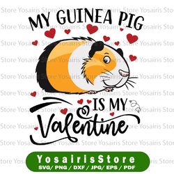 my guinea pig is my valentine svg, guinea pig lover valentine svg, guinea pig heart svg png, valentine's day svg