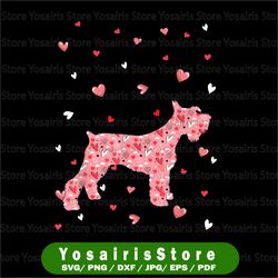 valentines day love hearts schnauzer dog png, schnauzer heart valentines png, valentines day png