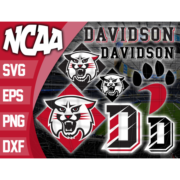 Davidson Wildcats.jpg