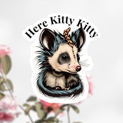 here kitty kitty possum sticker, possum decal