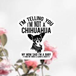 im not a chihuahua dog sticker, im a baby dog sticker decal