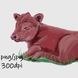 Digital download / Hand drawn cute sleeping calf