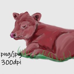 digital download / hand drawn cute sleeping calf