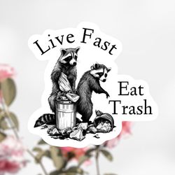 live fast eat trash raccoon sticker, raccoon decal