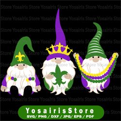 mardi gras png, mardi gras gnomes png, mardi gras sublimation design, happy mardi gras, gnomes mardi gras, shirt design,