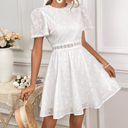 Eyelet Embroidery Round Neck Puff Sleeve Backless Fit and Flare Boho Dress