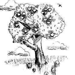 tree, apple tree with apples black and white graphics, black and white, graphics, illustration, print, poster, wall pain