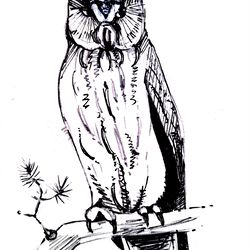Bird, owl , on a tree branch, black and white, graphics, illustration, print, poster, wall painting, download, painting