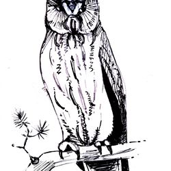 bird, owl , on a tree branch, black and white, graphics, illustration, print, poster, wall painting, download, painting