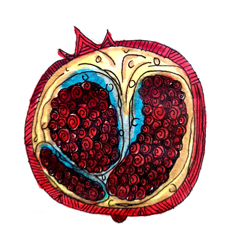 8 пикс Pomegranate fruit cut in half, stylized, graphics.png