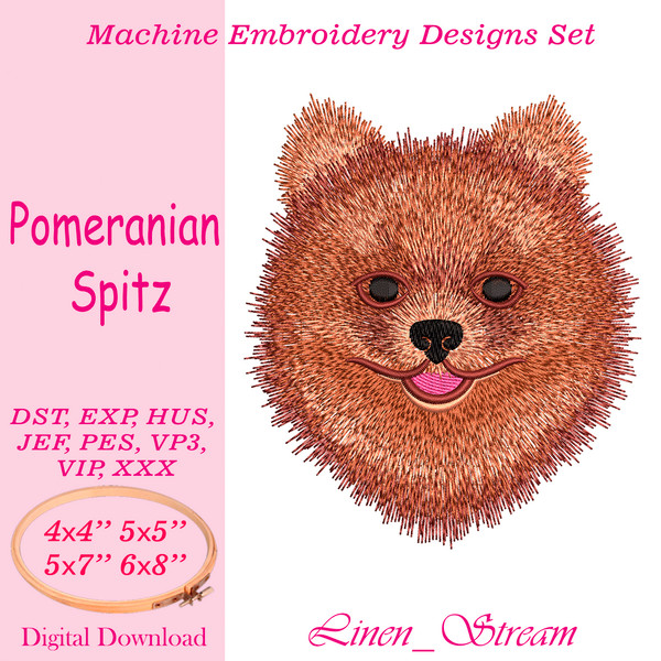 Pomeranian Spitz 1.jpg