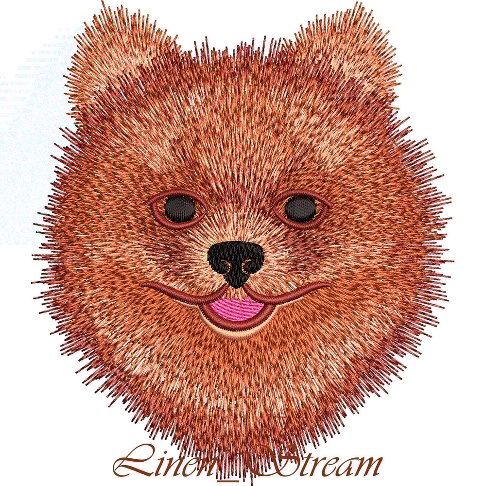Pomeranian Spitz 2.jpg