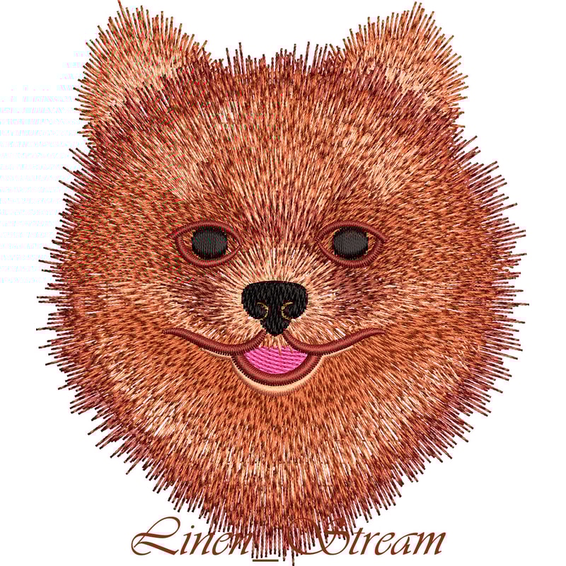 Pomeranian Spitz 2.jpg