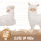 Cute Alpaca Animal Clipart Banner03.png