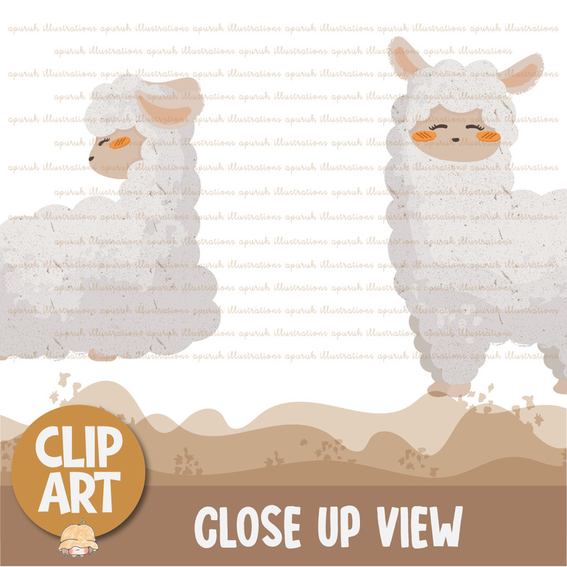 Cute Alpaca Animal Clipart Banner03.png