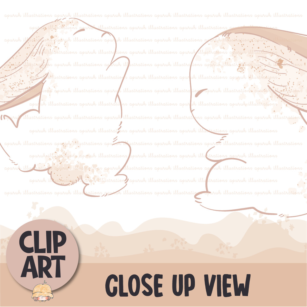 Cute Rabbit Bunny Animal Clipart Banner03.png