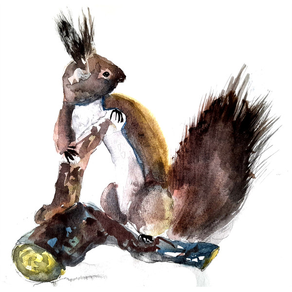 8 пикс Animal squirrel on a pine branch, watercolor.png