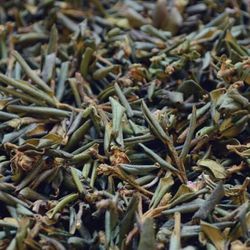 wildcrafted siberian sagan dalya rhododendron adamsii organic herbal tea, natural energy energizing tea