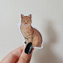 brown tabby waterproof sticker