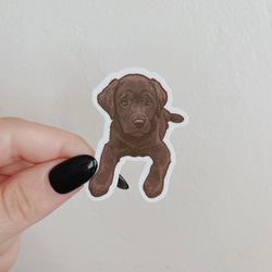 chocolate labrador puppy waterproof sticker