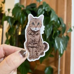 brown tabby cat waterproof sticker