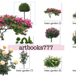 digital paper-Coffee in a wonderful garden-Digital scrapbooking-9 PNG digital documents - tree, rose