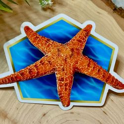 starfish sticker/ ocean animal stickers/ vinyl stickers/ animal stickers/ ocean stickers/ stickers for laptops