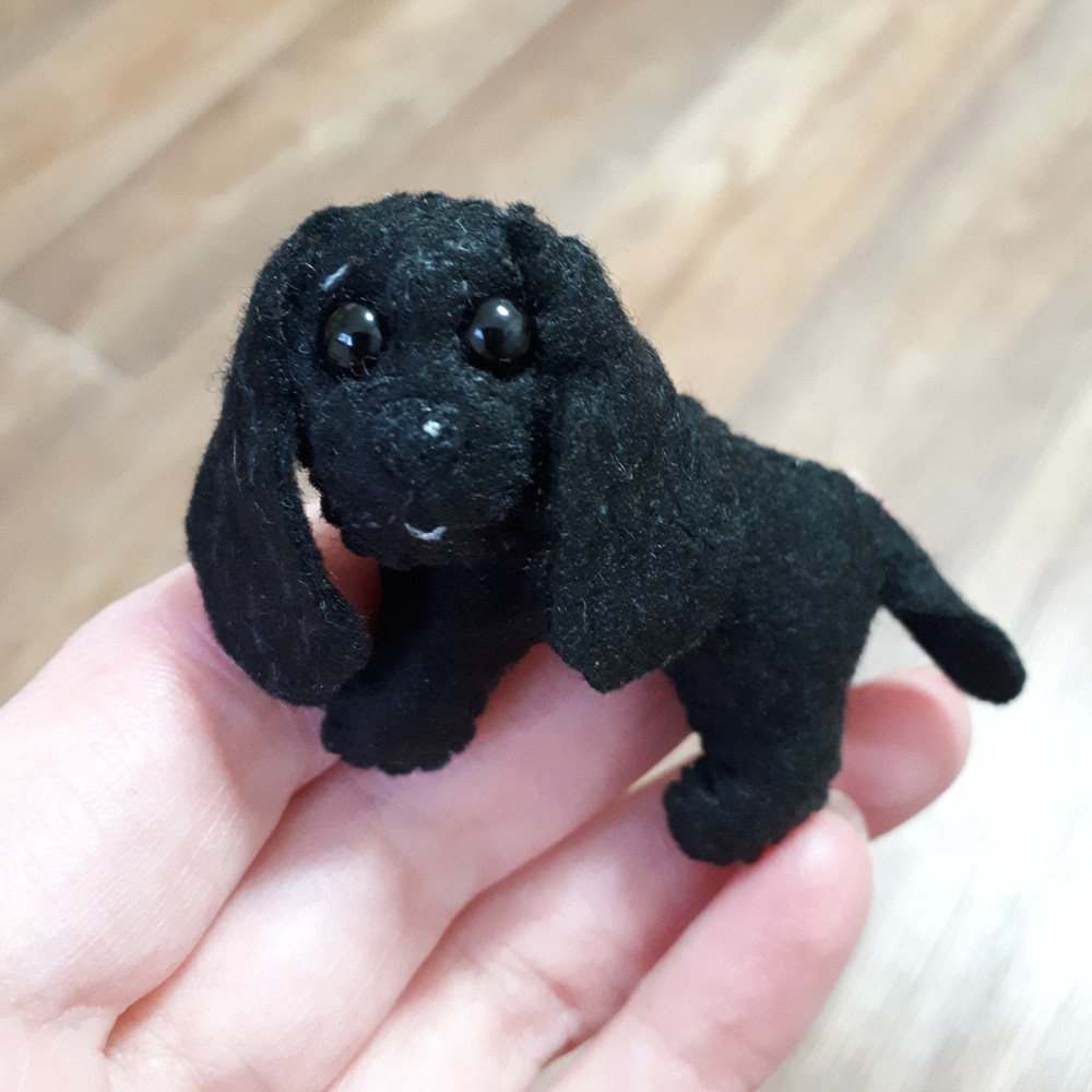 Small-black-Cocker-spaniel