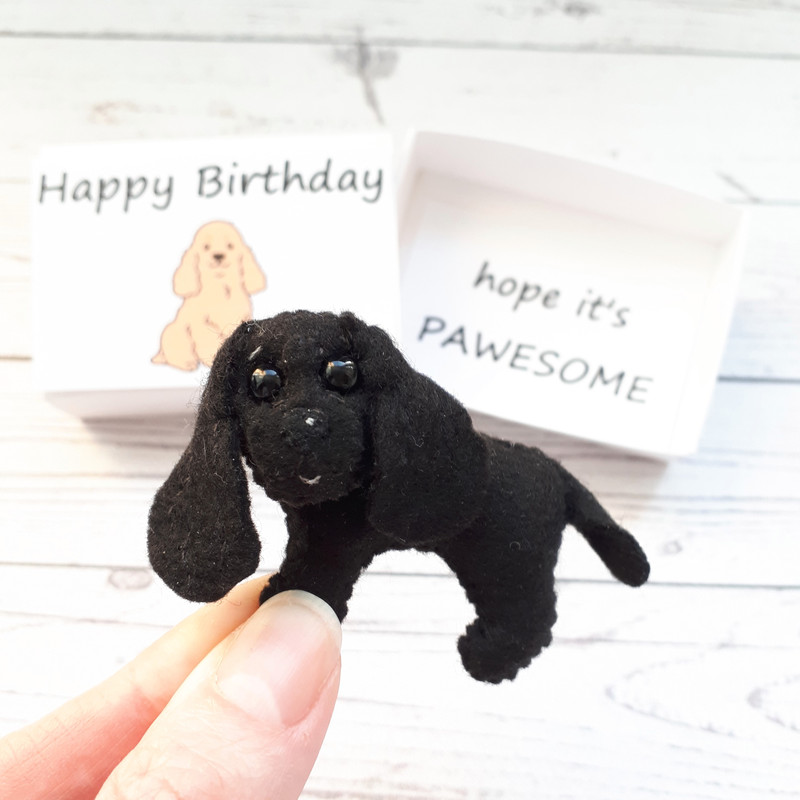 Black-English-Cocker-spaniel-pocket-hug