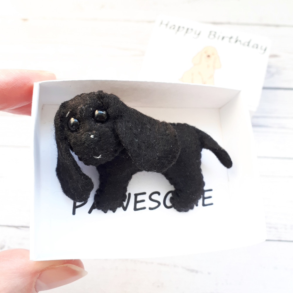 Black-Cocker-spaniel-pocket-hug-in-a-box