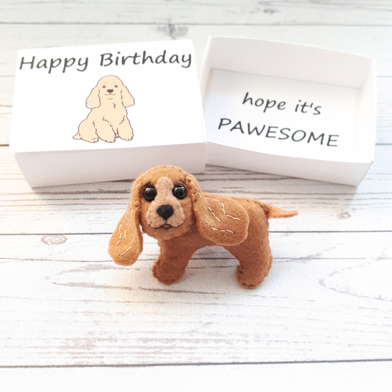 Golden-Cocker-spaniel-hug-in-a-box