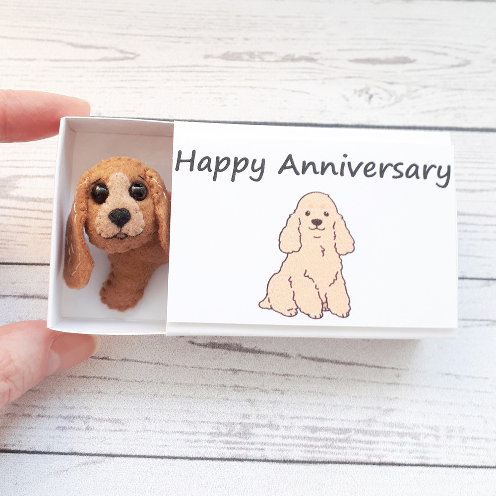 Golden-Cocker-spaniel-hug-in-a-box