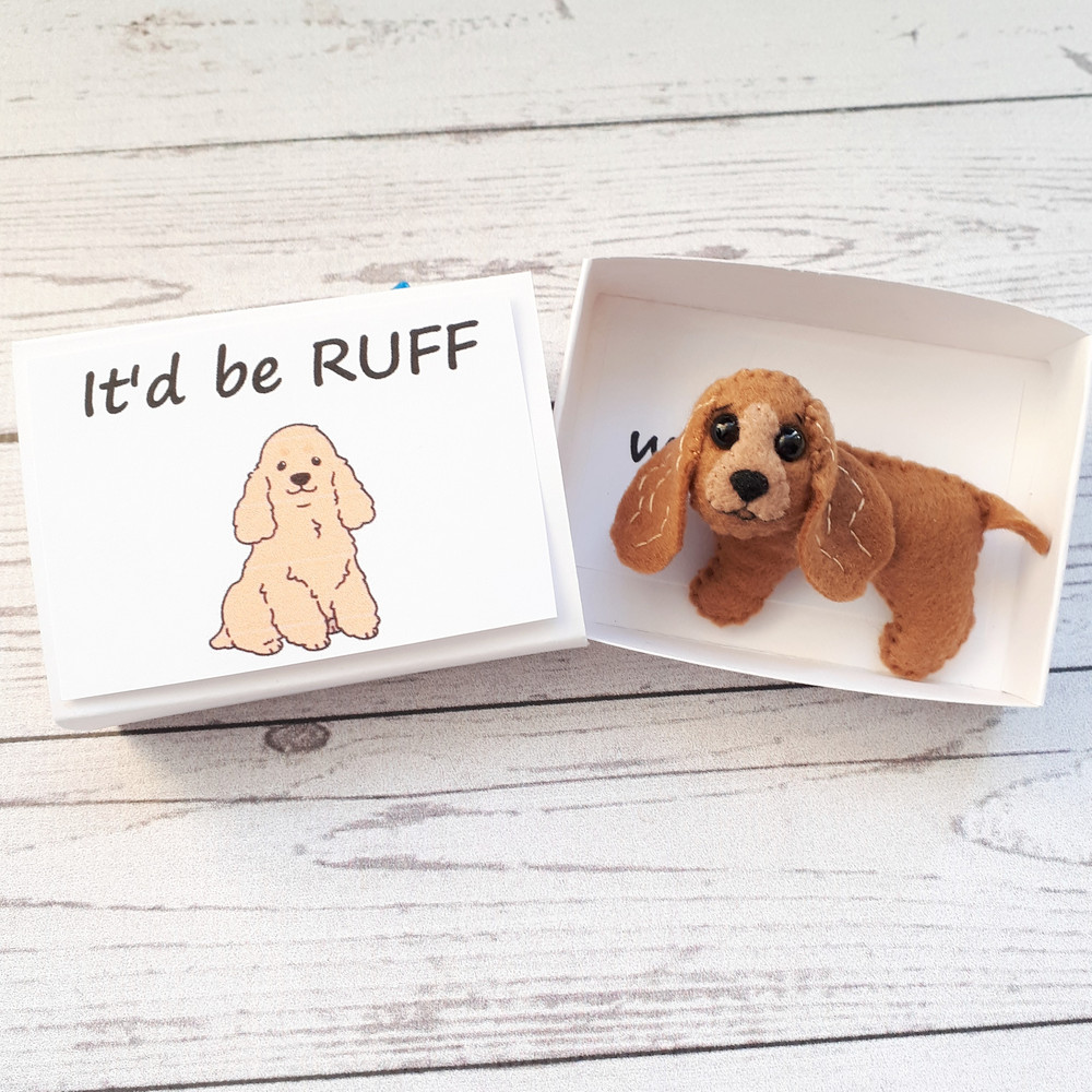 Cocker-spaniel-hug-in-a-box