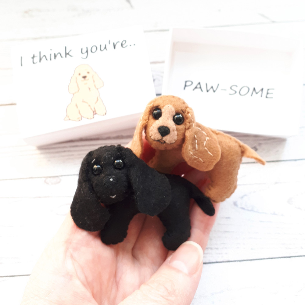 English-Cocker-spaniel-pocket-hug-in-a-box